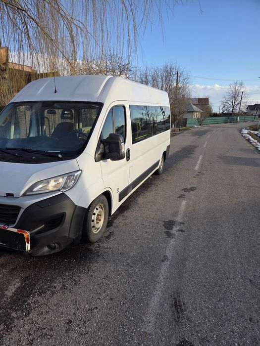 Vand Fiat Ducato 8 +1  cu rampa si centuri pentru scaune  rulante