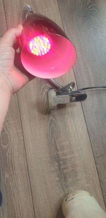 Лампа на прищепке