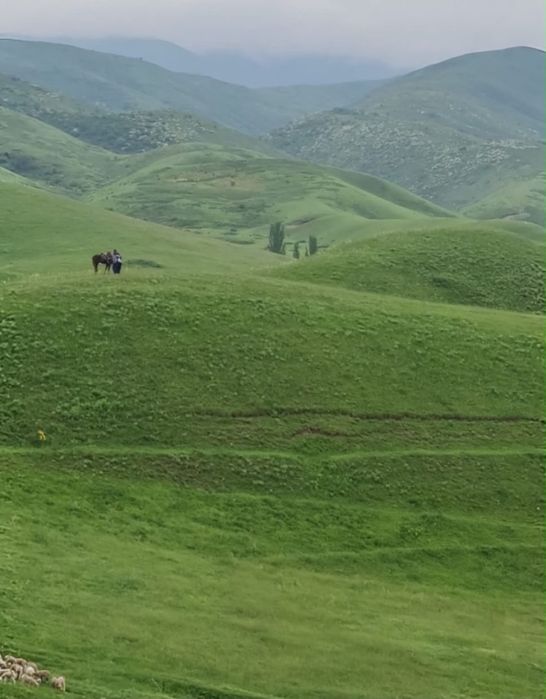 сатылады времянка қорасымен
