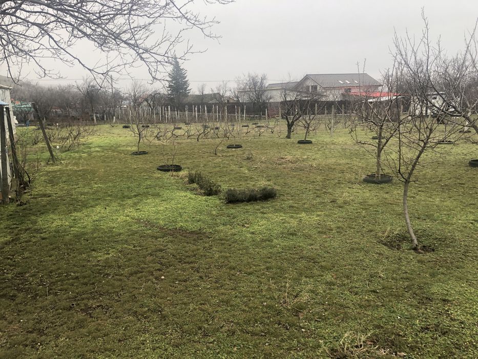 Casa cu teren Greci jud Tulcea