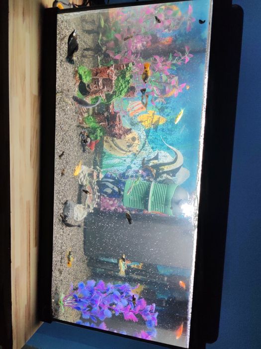 Acvariu 54 L complet cu echipament + pești (Betta, Guppy, Moly, Tetra)
