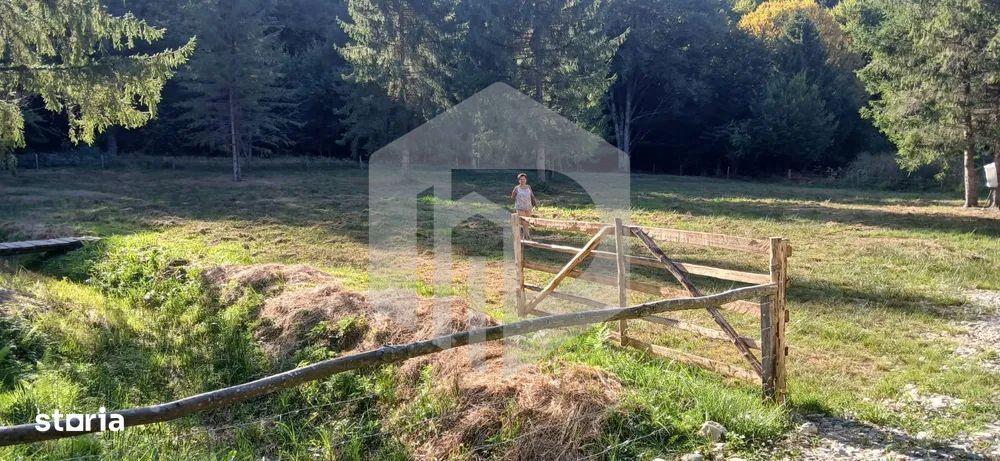 Teren Valea Avrigului- 1000 mp- Intravilan+ Certificat de urbanism