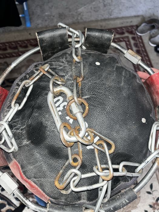 груша green hill