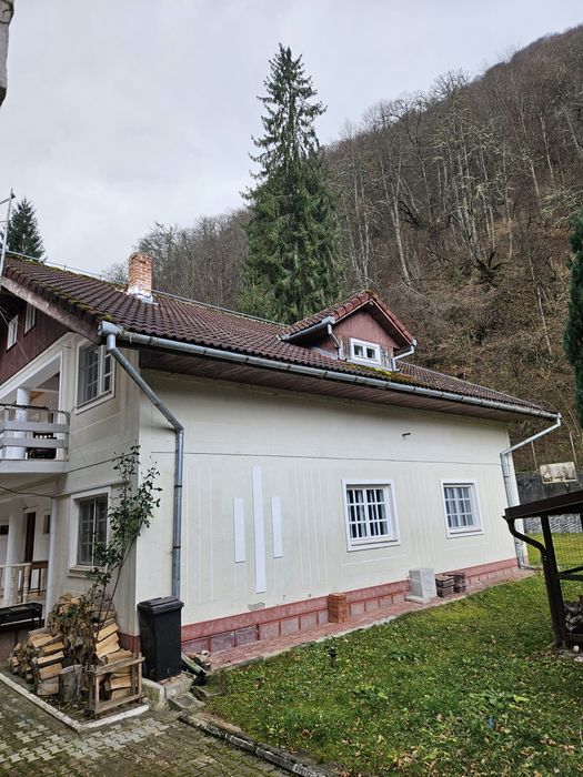 Vand Cabana Muntii Retezat Gura Zlata