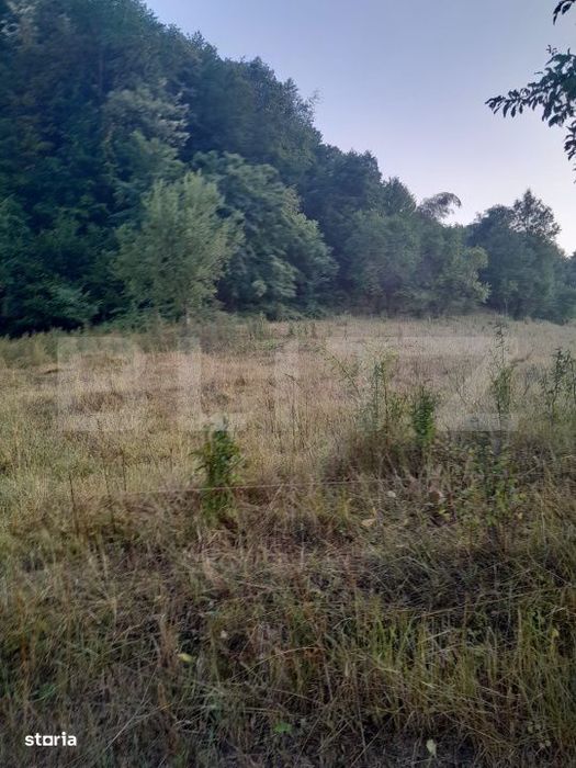 Teren extravilan, 2.175 mp, zona Șesuri