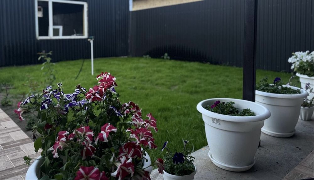 Продам часиный дом