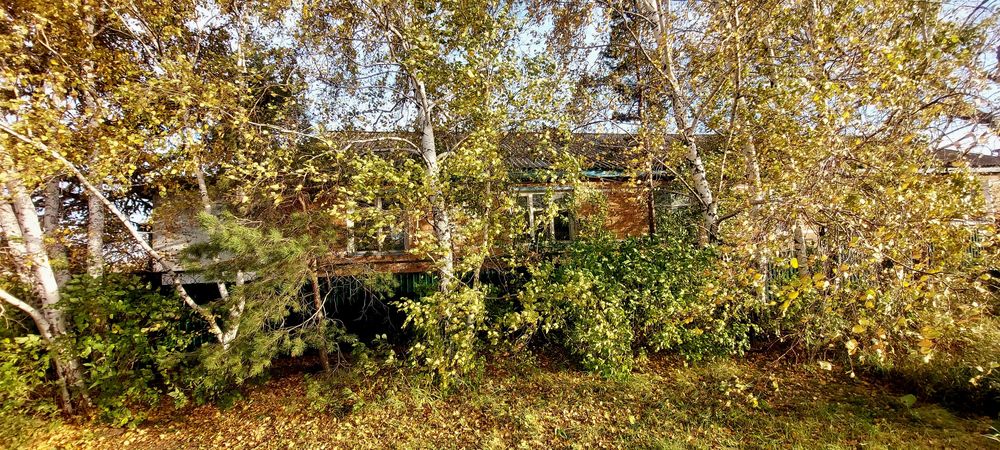 Большой шпальный дом