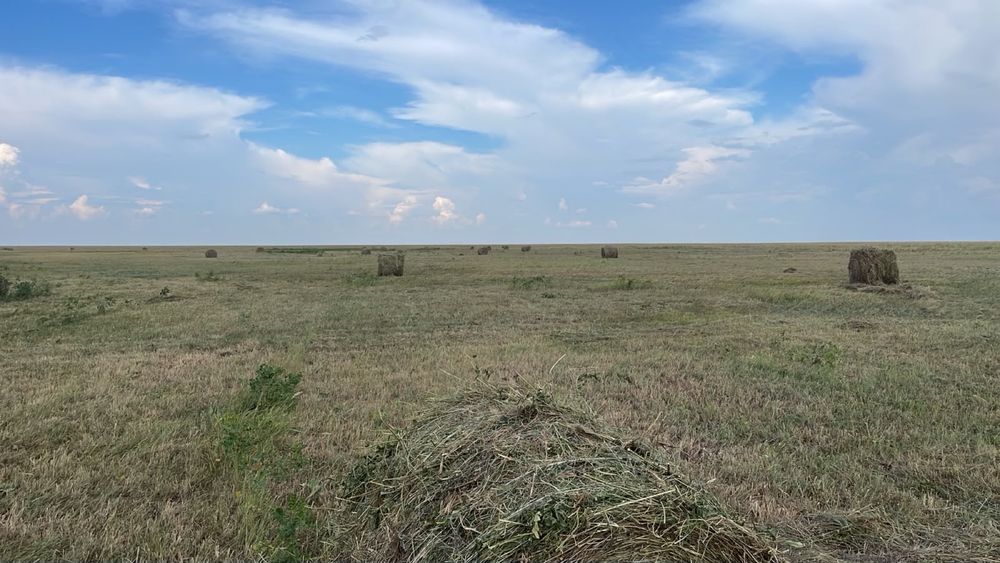 Продам сено в тюках и рулонах