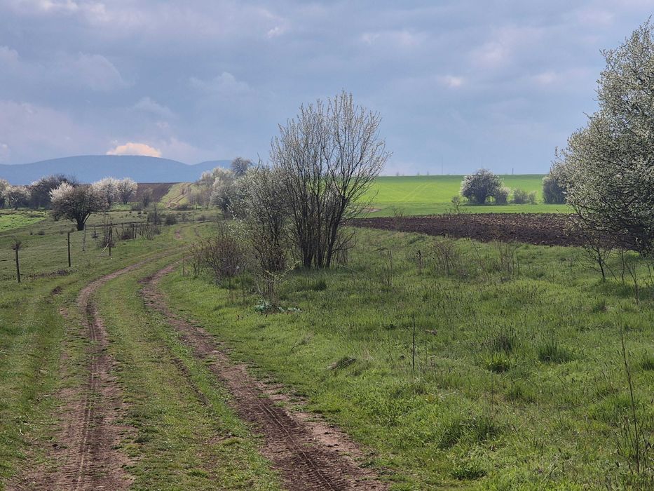 Парцел 2 дка с Богданлия София