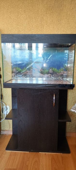 Аквариум с тумбой 65 литров