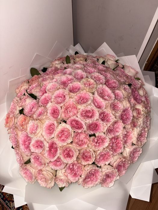 пионивидная роза 101