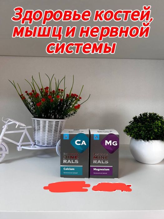 Сибирский Здоровье