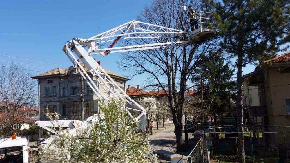 Рязане и премахване на опасни дървета Пловдив щил stihl husqvarna