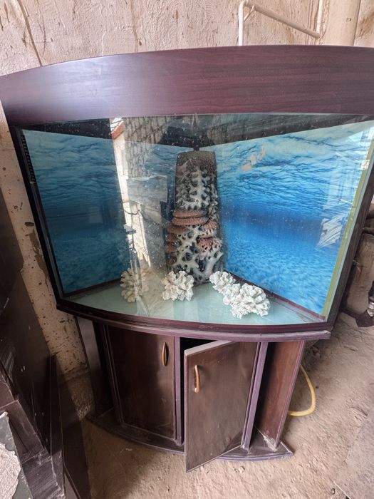 Akvarium sotladi hama narsasi bor kamplekt