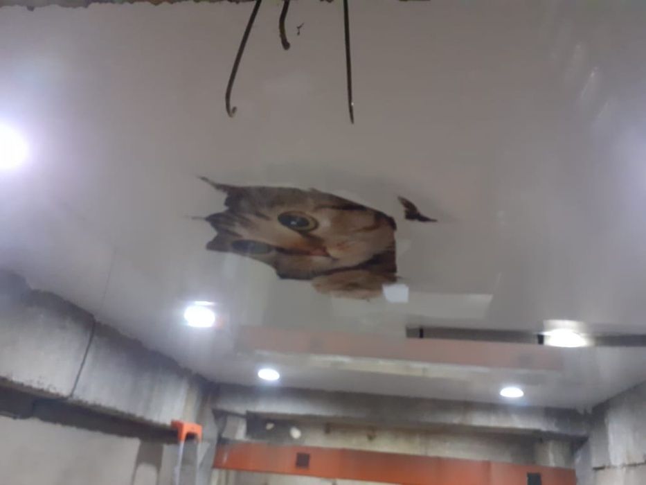 Натяжные потолки в Талгаре