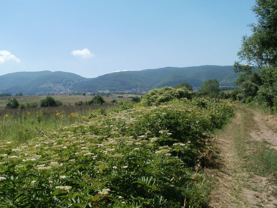 Продава се Земеделски имот в София, Люлин 10 -  кв.м за 27 €/дка - Снимка #1