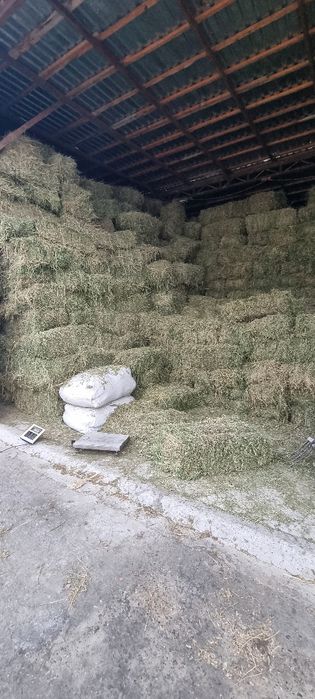 Беда пресс Бухоро Beda pres Buxoro G‘ijduvonda