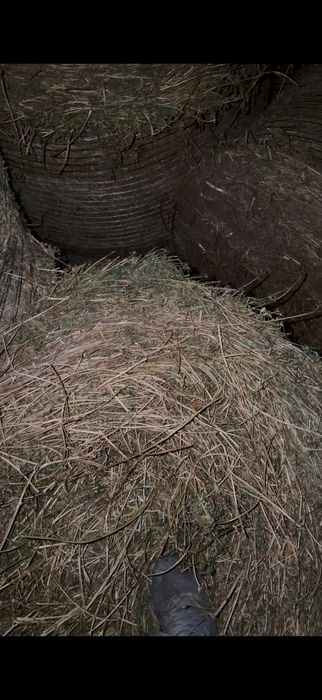 Baloti de ovaz+lucerna