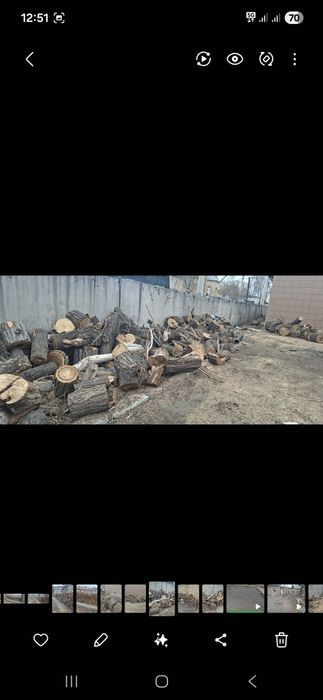 Продам дрова 10000