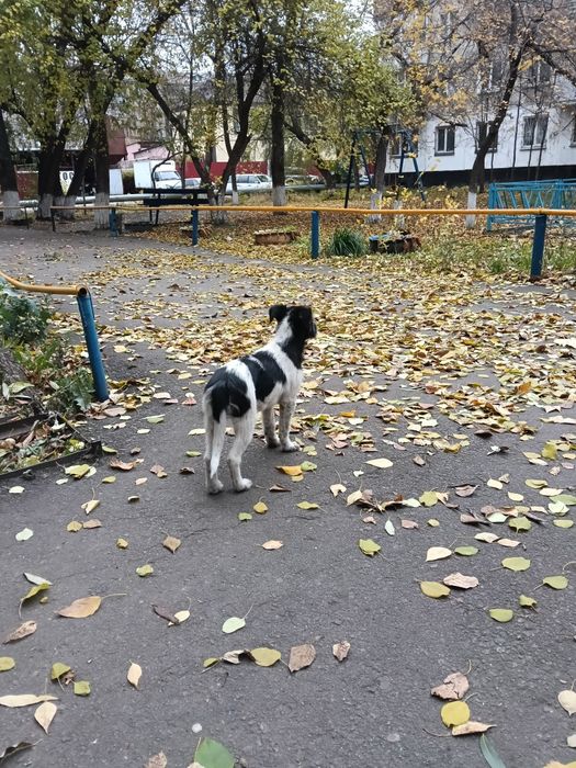 Маленькое чудо ищет любящую семью!