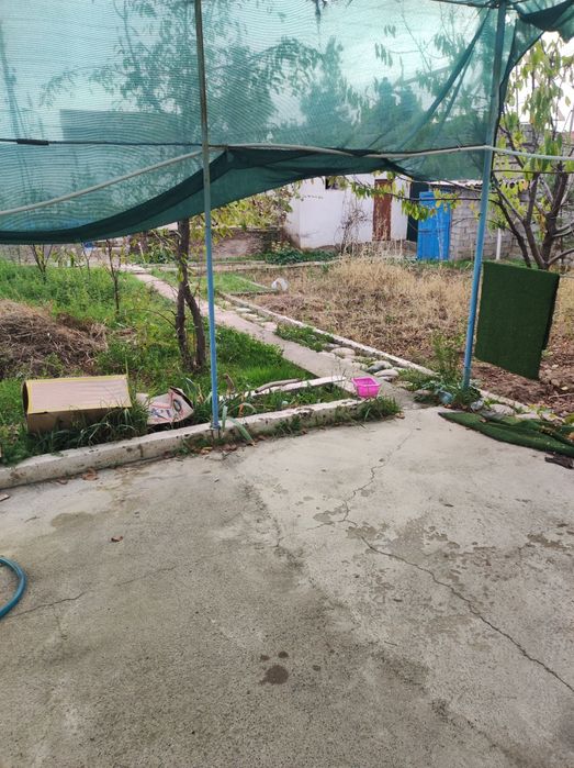 Дала ховли 7 сотик