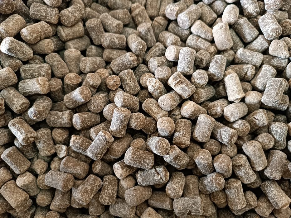 Құрт Курт 1500тг