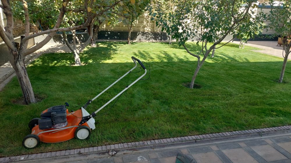 Стрижка газона  денис