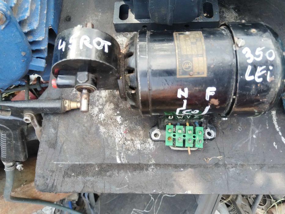Motor cu reductor rotisor kurtos