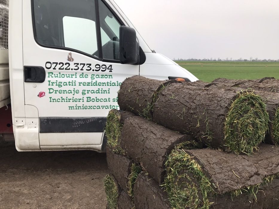 Rulouri de gazon rulou role gazon rulouri