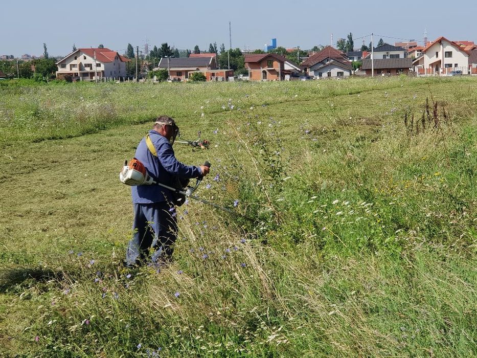 Tuns taiat defrisat iarba toaletare copaci intretinere spatii verzi