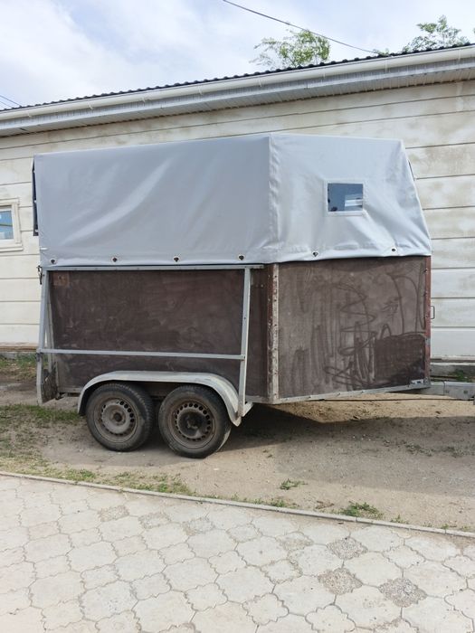 Продам коневозку