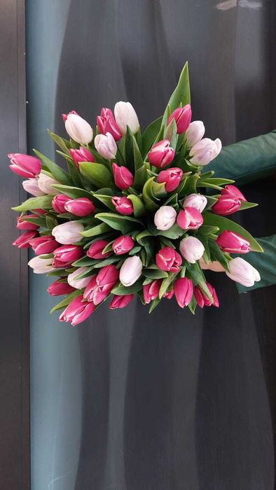 Тюльпаны  местные