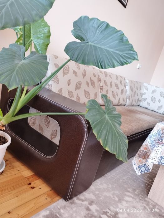 Разтегателен диван