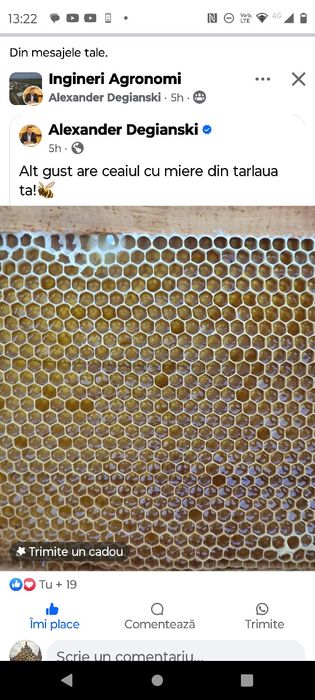 miere poliflora de calitate