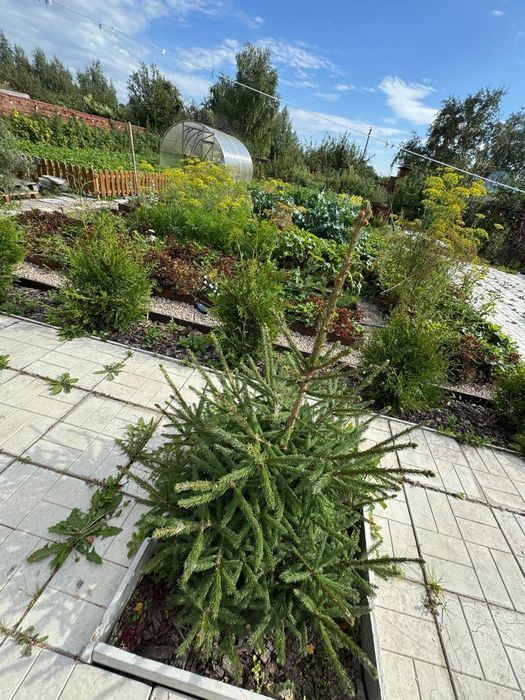 Шикарная Дача в Борках. 6 соток' баня