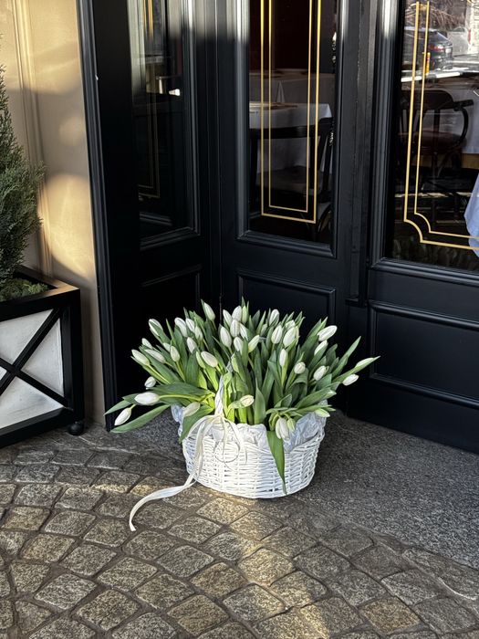 Тюльпаны по предзаказу Астана