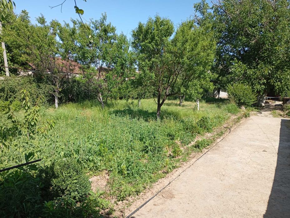 Hovli uchaska Toshkent vil. Bustonliq tum.Dumaloq qishlogi