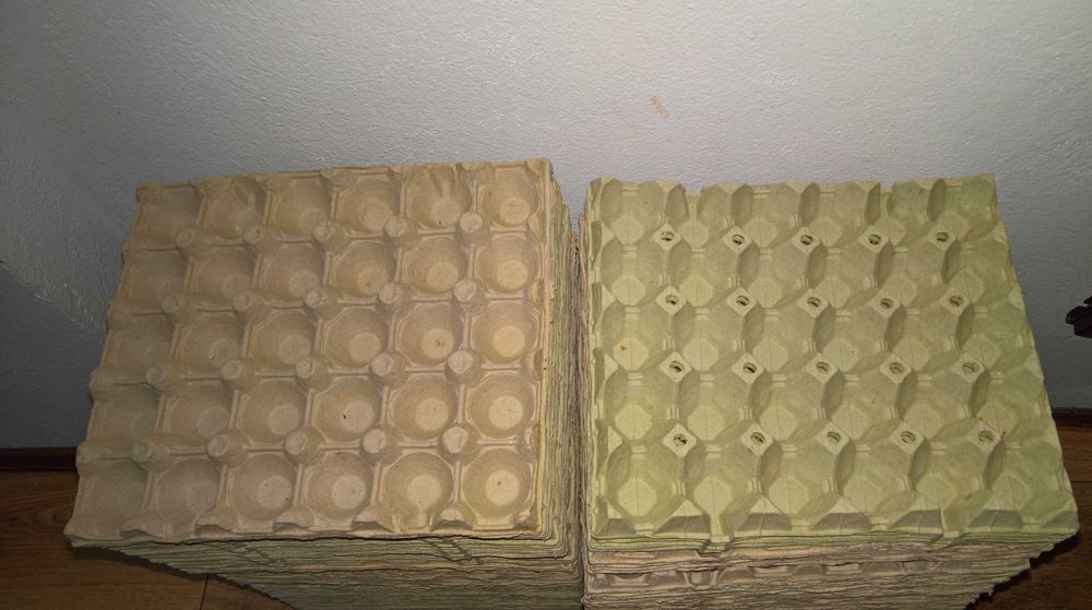 50 cofraje carton/30 oua
