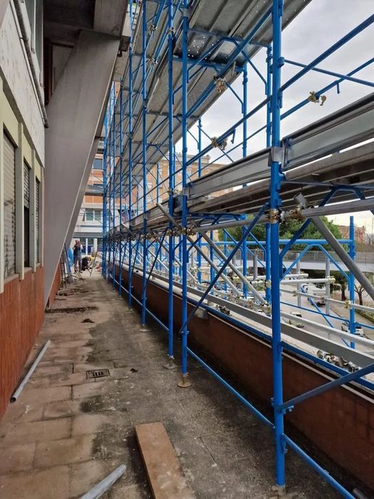 Фасандо СКЕЛЕ Под НАЕМ