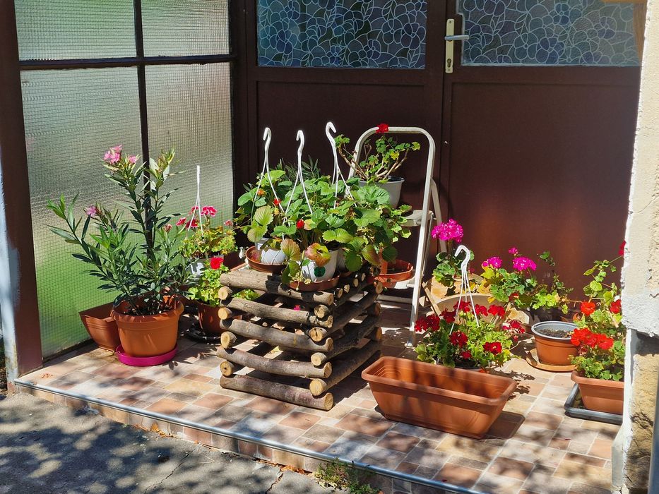 la pret redus ! Suport. RusticHandMade'. CASA & GRADINA.