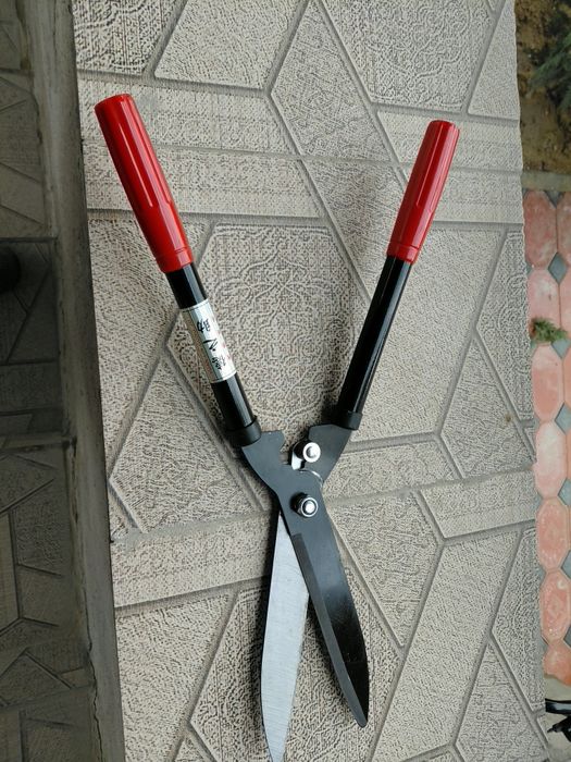 Каишы мадови үлкен