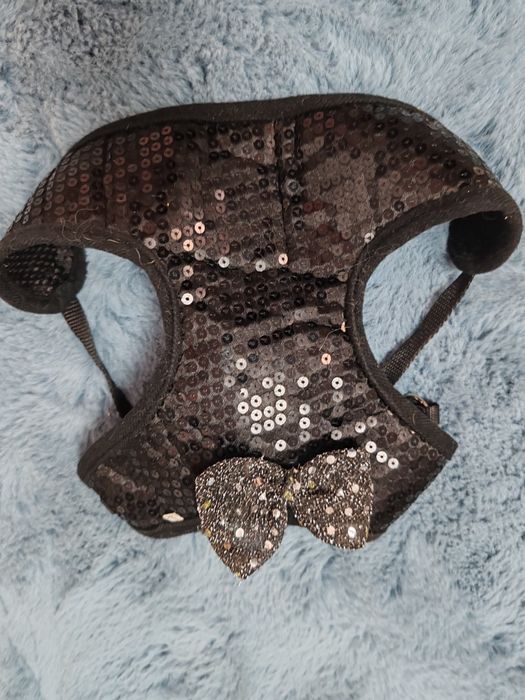 Ham câine cu inserții arginții