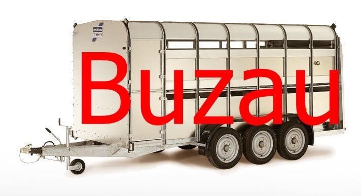 Transport animale vii autorizat