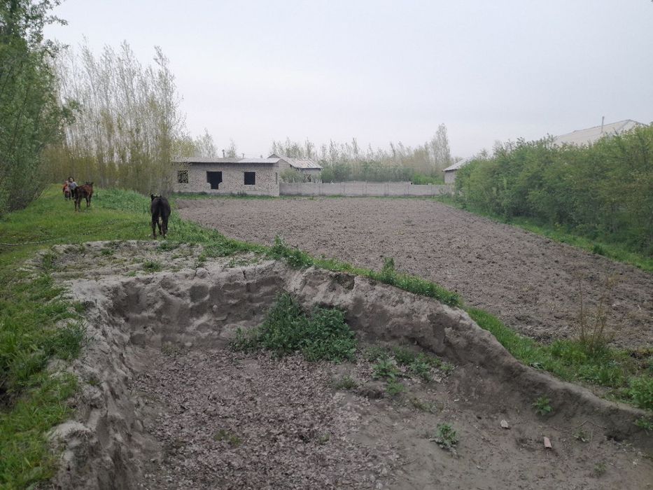 Chelak, ,,Tomoyrot" MFYda joylashgan uchastka hovli joy