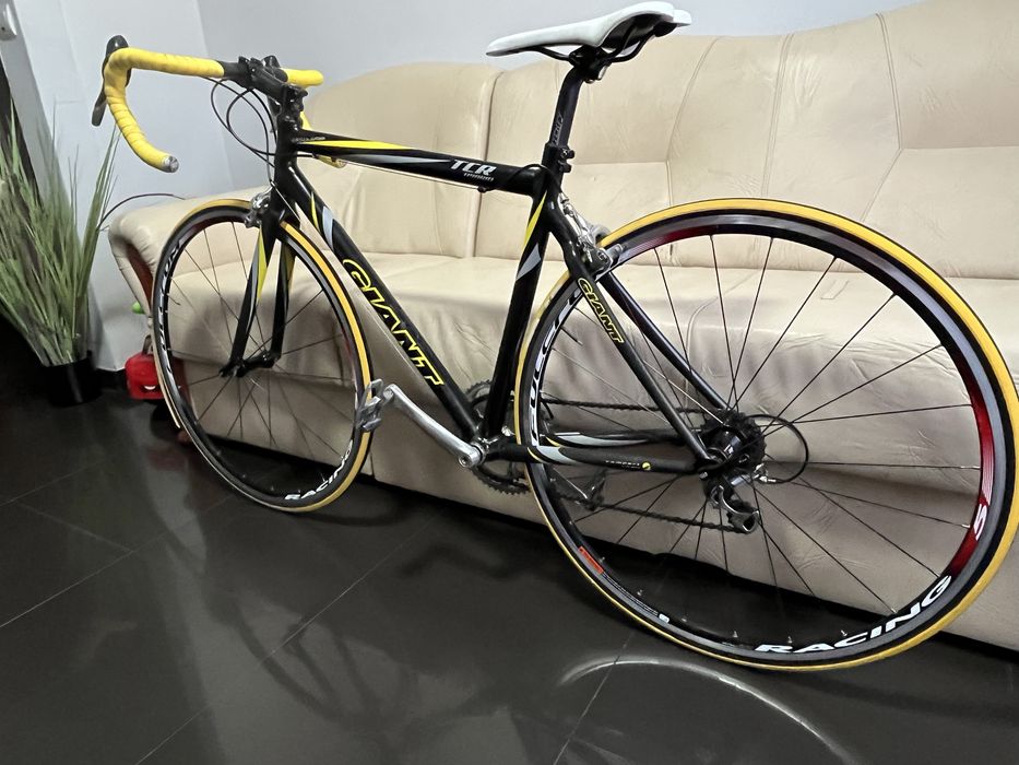 Cursiera Giant TCR hybrid