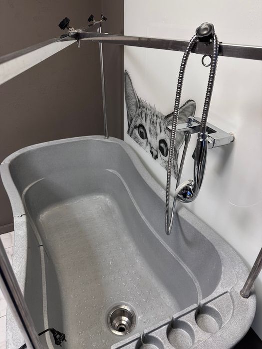 Cadă profesională reglabilă electric