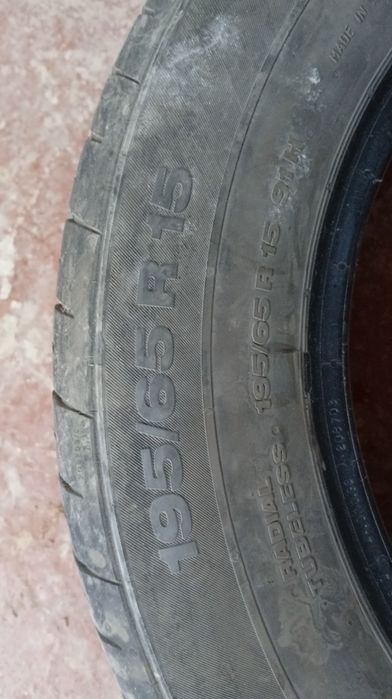 Кобилт родной балон