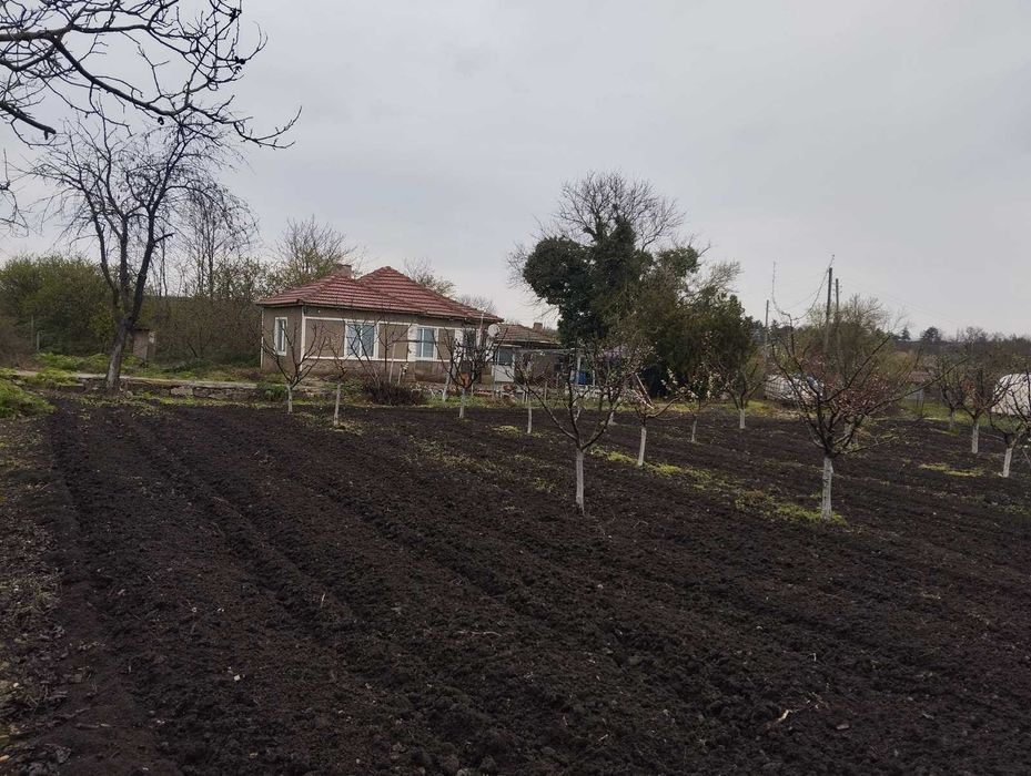 Продава се Къща в с. Раковски, Област Добрич - 90 кв.м за 255 €/кв.м - Снимка #10