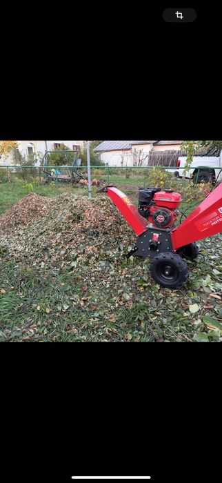 Taiere /Cosmetizare pomi fructiferi /posibilitate  tocat crengi