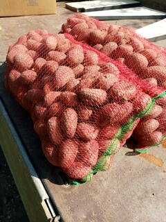 Cartofi consum alb și roșu